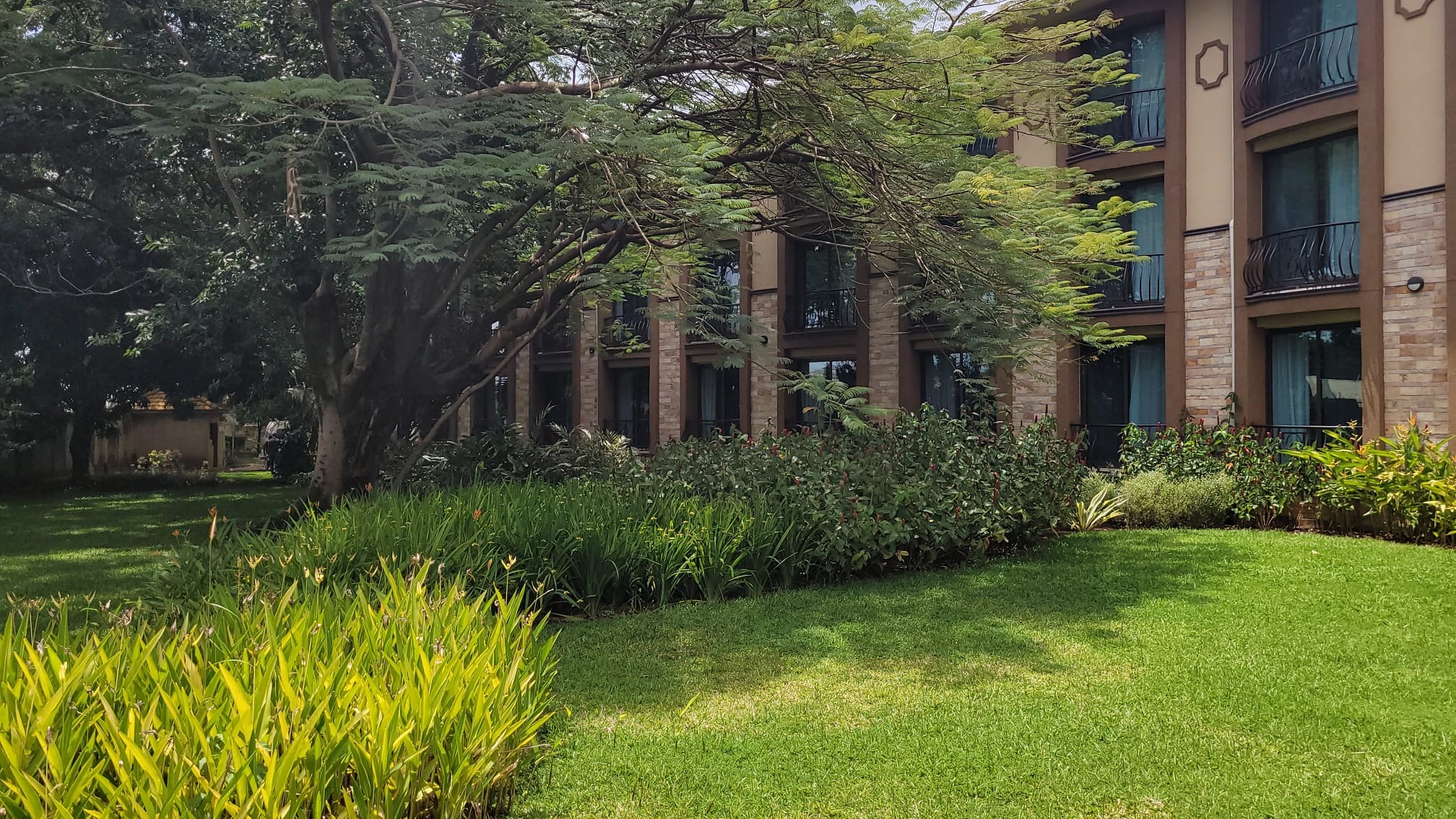 Lush hotel gardens with trees and lawns in front of the guest wing